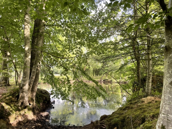 Etang près du Mesnil Aumont.