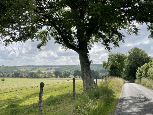 Nous redescendons vers la vallée de la Laize. On distingue à gauche, les maisons identiques de la Cité du Livet, ancienne cité minière. Nous allons prendre un sentier sur la droite.