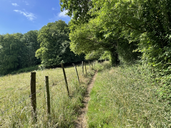 Le sentier entre dans les bois des coteaux de la Laize.