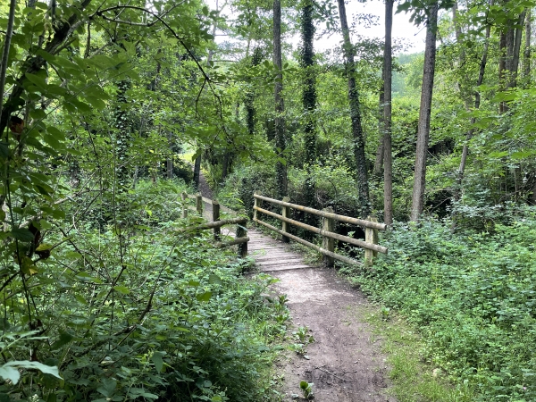 Nouvelle passerelle sur la Laize, nous arrivons bientôt au Carreau de la Mine.