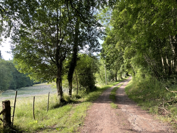 Nous sortons de Caumont par ce charmant chemin, le premier d'une longue série, en direction de Nid-de-Chien.