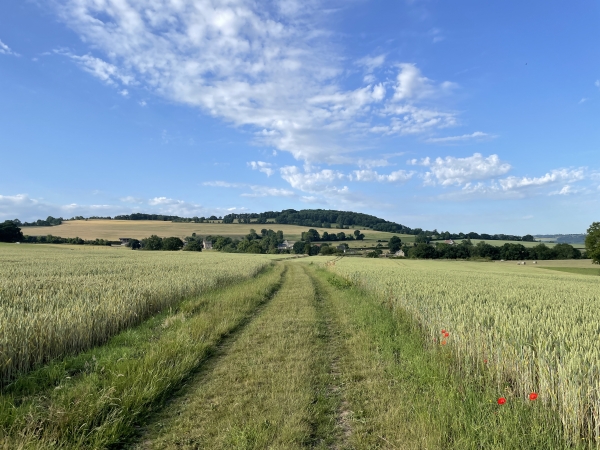 Sur le plateau, on distingue déjà les premières maisons du hameau.