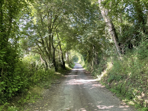 Nous rejoignons le GR36 qui suit un magnifique chemin sur la berge ouest de l'Orne.