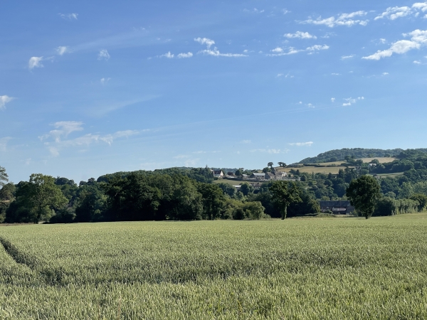Perché sur sa colline, on voit la Méheudière et son église Saint-Rémy.