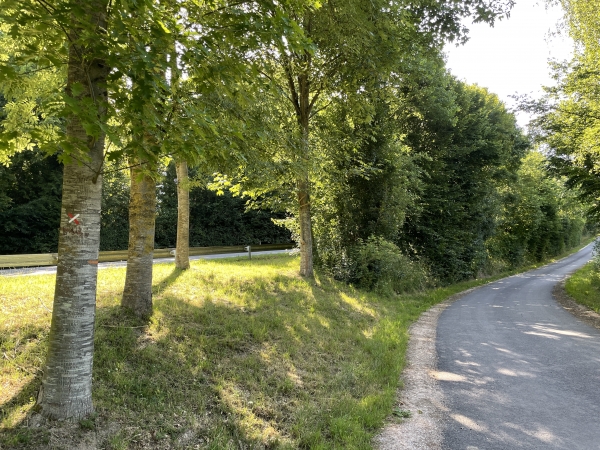 Nous choisissons de traverser le hameau de Surosne, en passant par cette petite route qui longe la D562.