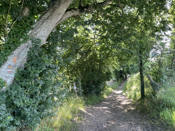 Nous retrouvons le GR36, et le suivons sur ce chemin.