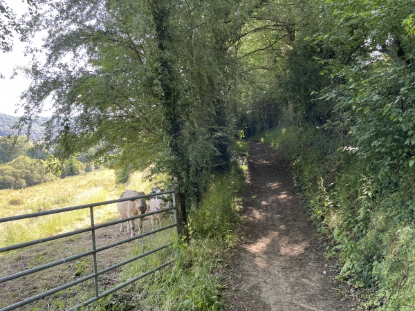 L'Orne coule un peu plus bas, dans la vallée.