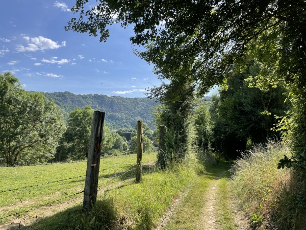 Ils ne sont pas beaux les chemins de la vallée de l'Orne ?