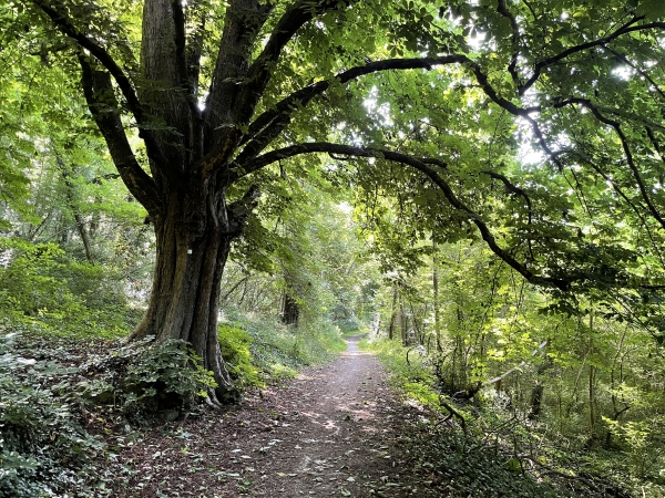 Nous suivons le chemin qui longe l'ancienne voie ferrée, aux pieds des Rochers de la Houle.
