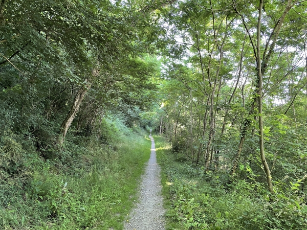 C'est un sentier agréable et ombragé.