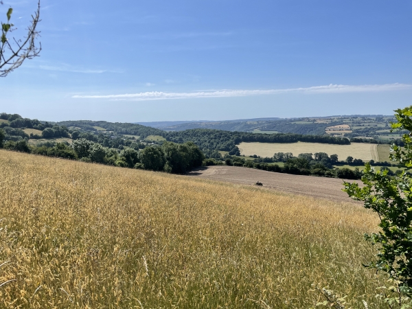 Nous montons le chemin du Physicien. La montée est raide, nous faisons des poses fréquentes pour souffler devant ces paysages.