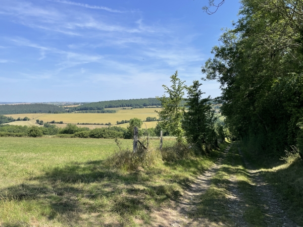 Nous descendons maintenant vers le Ruisseau de la Vallée des Vaux.