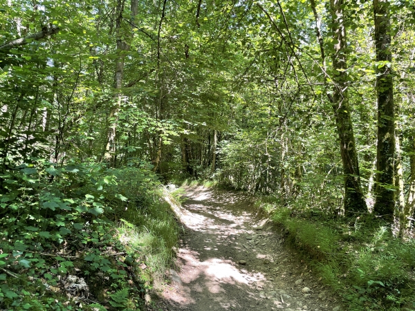 Le Ruisseau coule jusqu'à Caumont. Nous allons profiter de ses berges boisées jusqu'à la clôture de notre boucle.