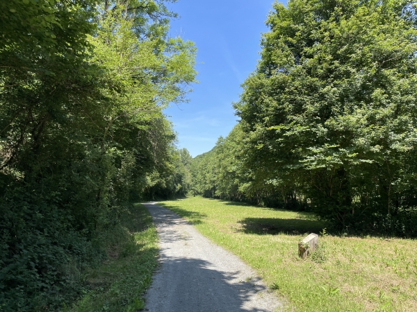 Des espaces d'herbe ont été aménagés le long du chemin qui longe le Ruisseau. Des panneaux décrivent l'écosystème de ces berges.