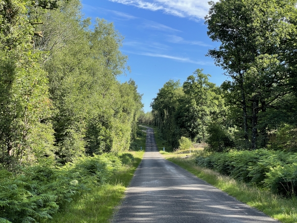 Je repars sur mon circuit, et suit ici la D230 pour tourner à droite après le ruisseau de Bréquigny que l'on devine aux poteaux bleus et blancs.