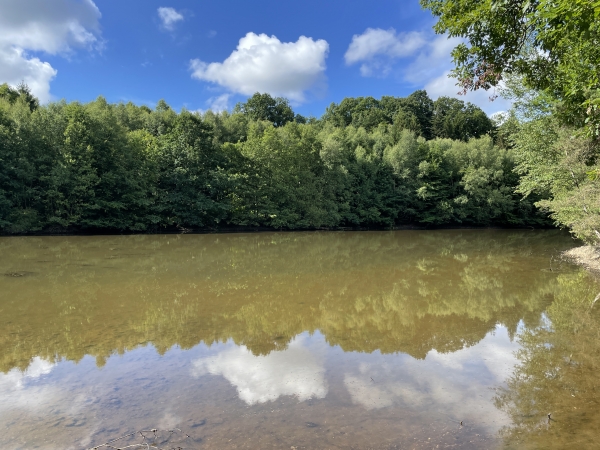 Voilà l'étang de Saint-Clair.
