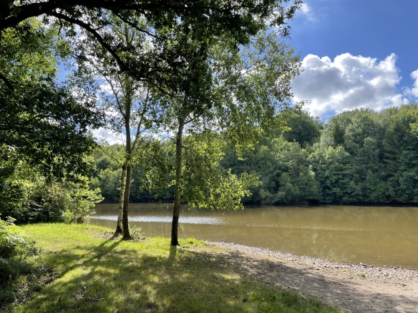 Je fais quelques mètres en terrain privé pour admirer les paysages de l'étang du Débuzot.