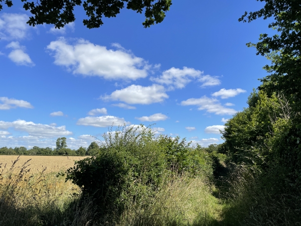 Les chemins de ce circuit ne sont pas entretenus, et faute de passage, certains d'entre eux sont envahis de hautes herbes. Rien d'insurmontable, mais à éviter en période humide.