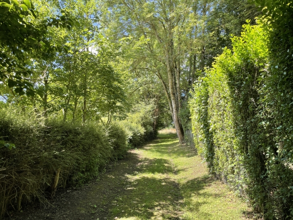 Le chemin est parfaitement entretenu ici, mais c'est uniquement le long de la maison dont on voit la haie.