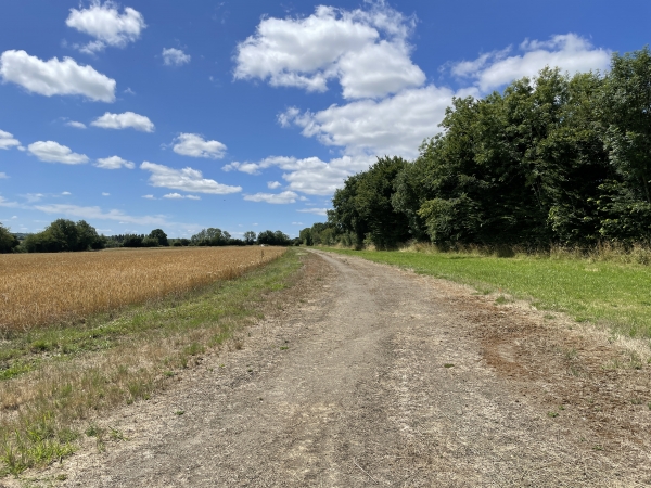 Je suis maintenant un ancien terrain d'entraînement de trotteurs. Le chemin officiel est sur la bande verte à droite.