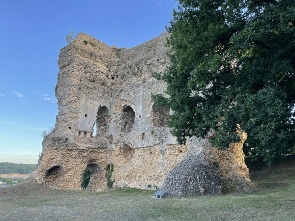 Nous partons de la place Frémont des Essarts, montons la rue des Canadiens où se trouvent les bâtiments de l'ancienne Justice de Paix, et arrivons aux ruines du donjon (XIe) par le sentier du Vieux Château.
