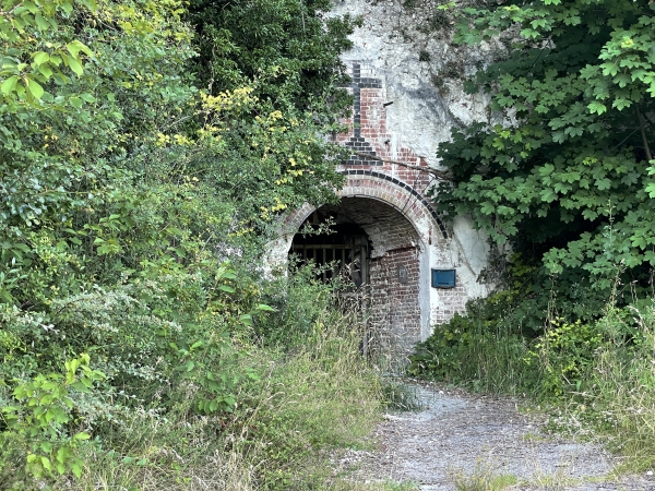 Juste avant d'entrer dans le bois, nous découvrons l'entrée de l'ancienne carrière de calcaire à chaux (puis champignonnière) qui a abrité les brionnais pendant les bombardements de 1944.