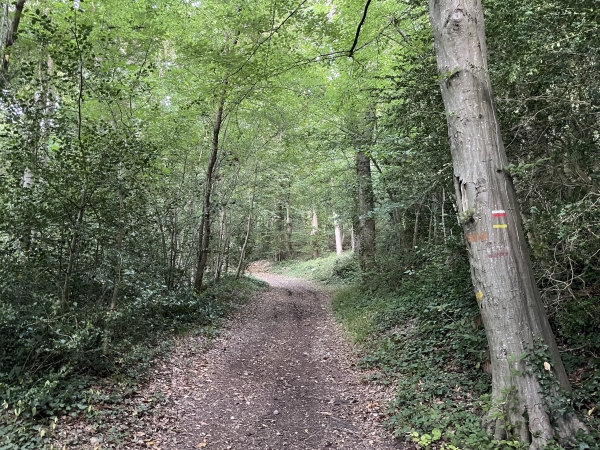 Nous suivons le chemin du Four à Chaux, balisé de rouge et blanc pour le GR224RD et de jaune pour notre circuit.