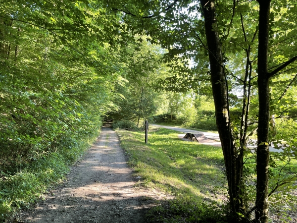 Arrivés dans la vallée du Bec, nous rejoignons la Voie Verte, ancienne voie de chemin de fer entre Evreux et Honfleur.