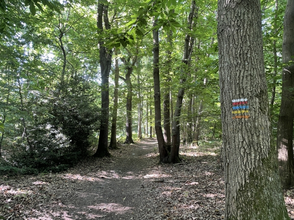 Nous rejoignons le GR224, version rive gauche cette fois-ci.