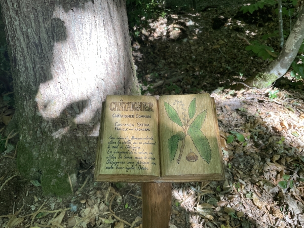 Nous sommes sur le territoire de la commune de Freneuse-sur-Risle, le GR224RG est agrémenté d'un Sentier Nature. Les descriptifs sont des livres en bois sculptés, peints à la manière d'herbiers, oeuvres de Rudy Christen et Jeremy Louapre (voir BlogBaladesEnNormandie.fr).