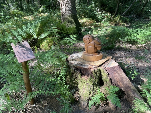 Le Sentier Nature nous offre parfois un animal sculpté dans le bois, comme cet écureil.