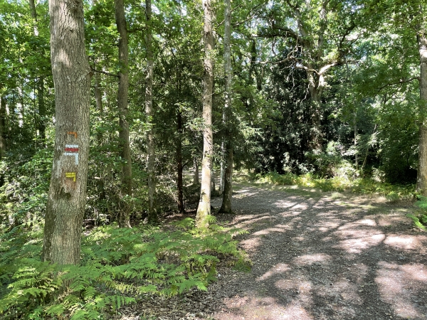 Notre itinéraire, comme le GR, tourne à gauche pour descendre vers Livet-sur-Authou.