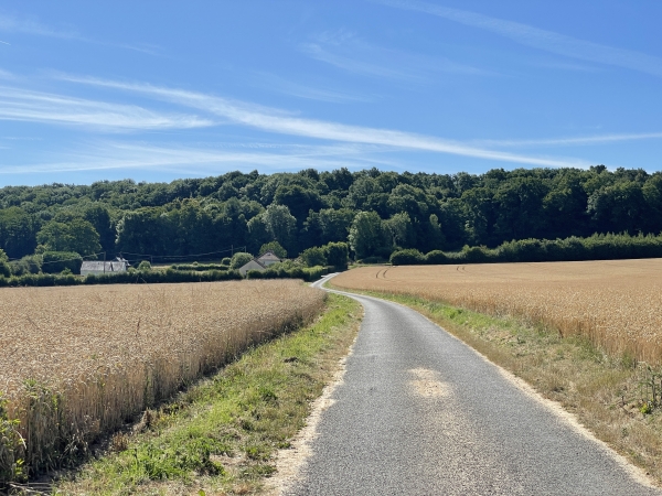 Nous traversons le vallon en direction du bois des Grandes Bruyères.