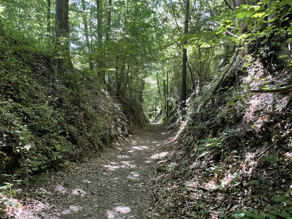 Le chemin descend maintenant vers Brionne.