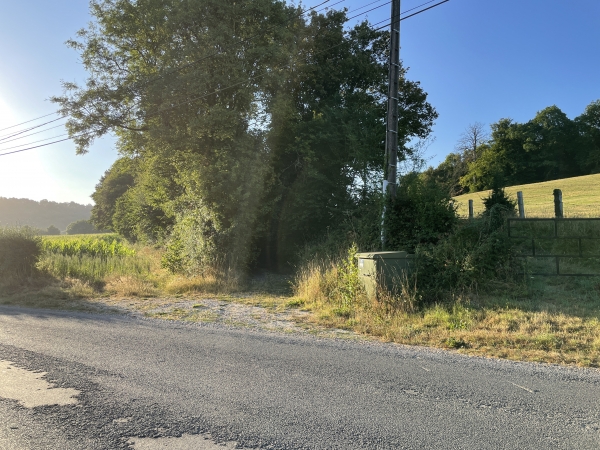 Je ne suis pas loin du lieu où se trouvait le prieuré de Saint-Cyr, détruit pendant la bataille de Normandie en 1944. Je traverse la route du Sap pour aller en face, dans le couloir de verdure qui cache le chemin.