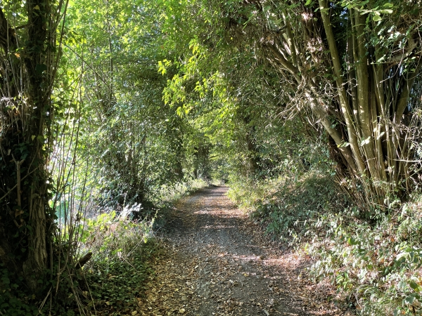Cet itinéraire n'offre pas la découverte d'un patrimoine prestigieux ou de paysages hors normes, mais les amoureux des chemins de Normandie seront aux anges.