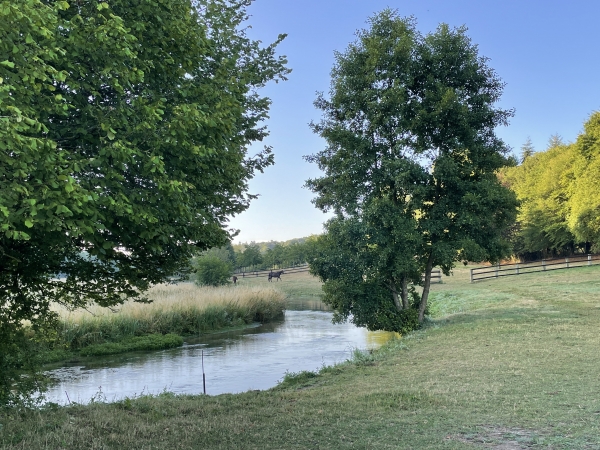Je traverse l'Orbiquet et les prairies de sa vallée, où paissent les chevaux.