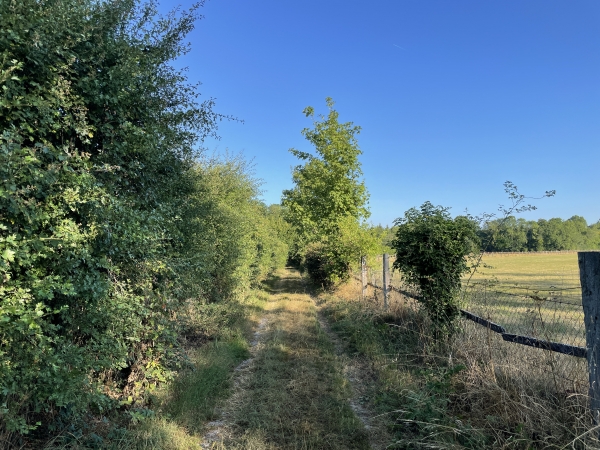 Je vais suivre le GR26 sur toute la partie est de ma boucle. Je suis sur le chemin du Bois le long du haras de Mervilly.
