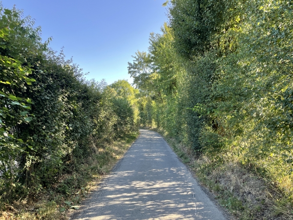 Je suis maintenant sur le Chemin des Oiseaux, frontière entre le Calvados et l'Eure, je vais bientôt couper la D4 qui entre dans Orbec.