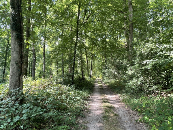 Je suis le chemin de crête qui avance droit vers le sud.