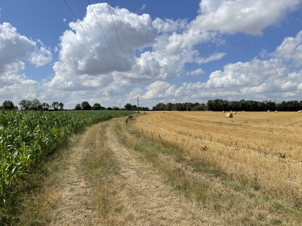 Et voilà mon dernier chemin, il ondule à travers champs jusqu'à Friardel.
