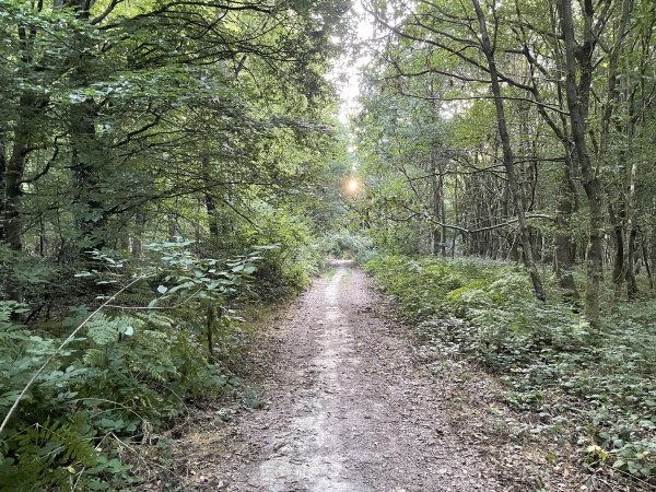 Nous marchons vers l'est, comme on le voit, en direction du Mont du Fresne.