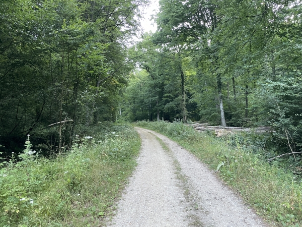 Nous descendons dans le vallon qui sépare les deux collines.