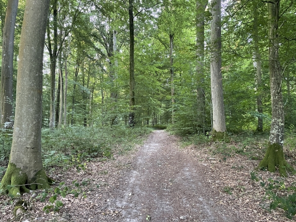 Nous montons sur le Mont du Fresne.