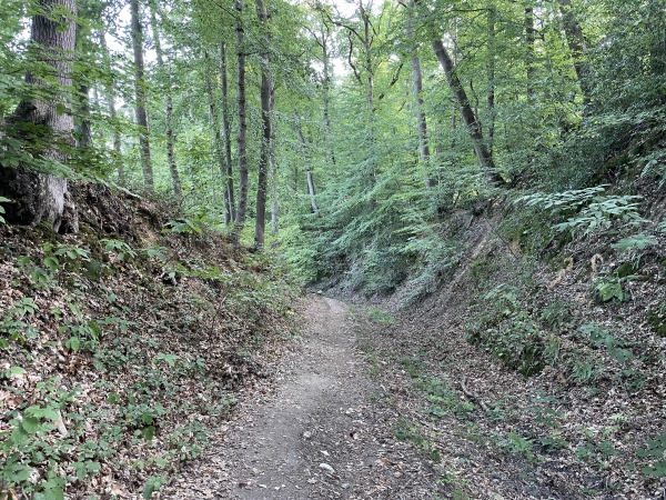 Nous redescendons vers Aizier par ce chemin creux.