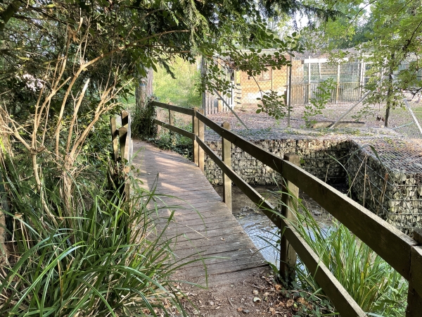 Le site naturel des Sources Bleues est parcouru de nombreux ruisseaux qui coulent vers la Seine.