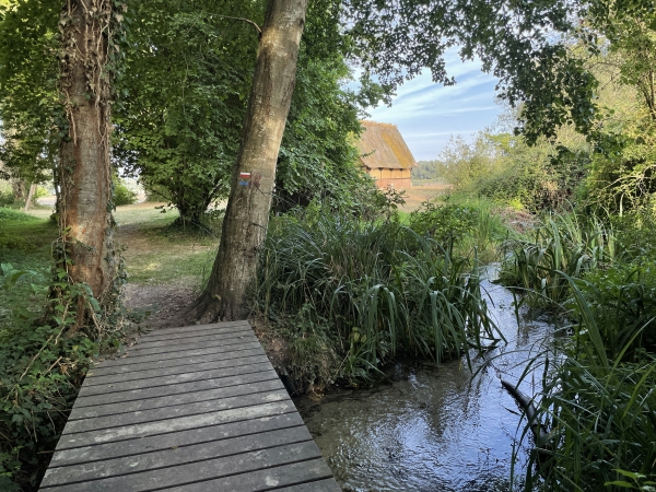 Le site naturel des Sources Bleues est parcouru de nombreux ruisseaux qui coulent vers la Seine.