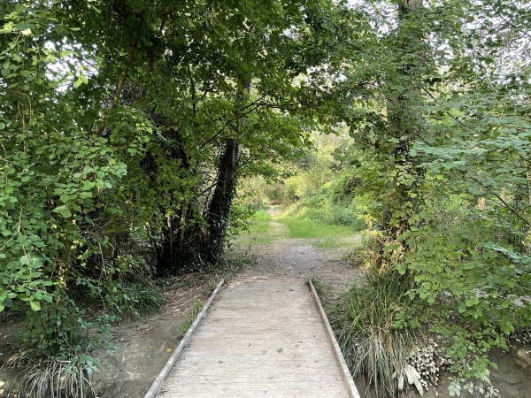 Nous suivons le sentier qui relie Aizier à Vieux-Port.