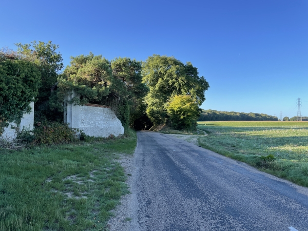 Je marche sur la D10 pendant 1 km, et je vais tourner ici à droite, sur le chemin en face de la maison ruinée.