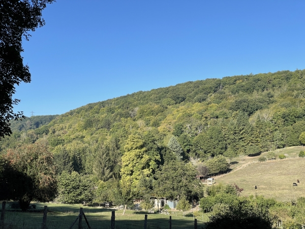 La rue de Mézières domine le vallon du Ruisseau Sainte-Genevieve. Le coteau où je suis est encore dans l'ombre, mais les bois de l'Arconat et du Tronier où je me trouvais tout à l'heure sont déjà en plein soleil.